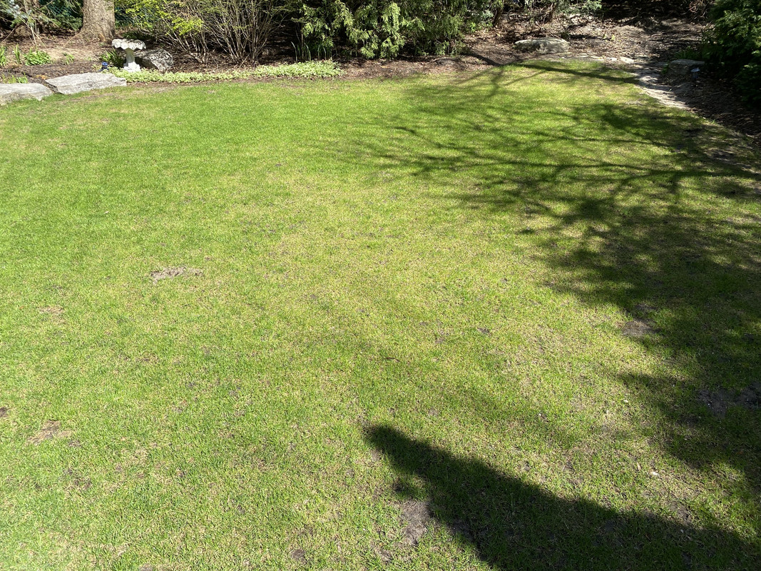 E4873180-1177-48D7-AC09-DA4628838ABE