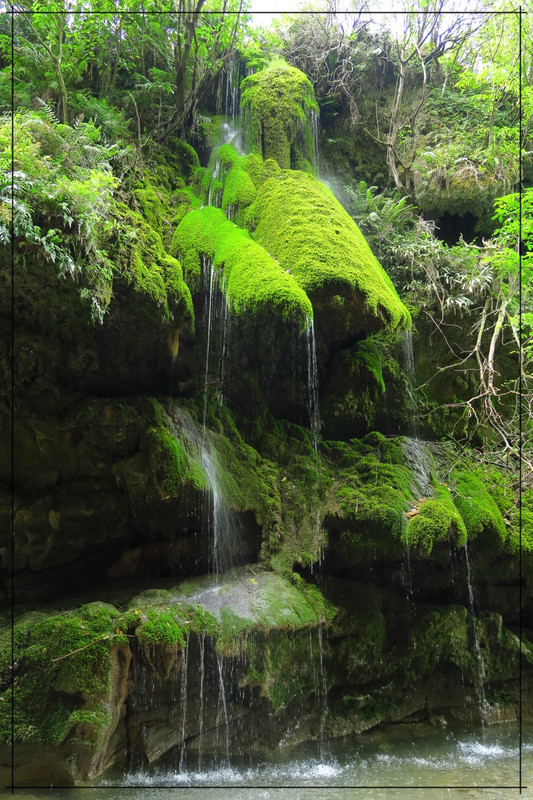 Wairarapa, esa gran desconocida - Escapadas y rutas por la Nueva Zelanda menos conocida (22)