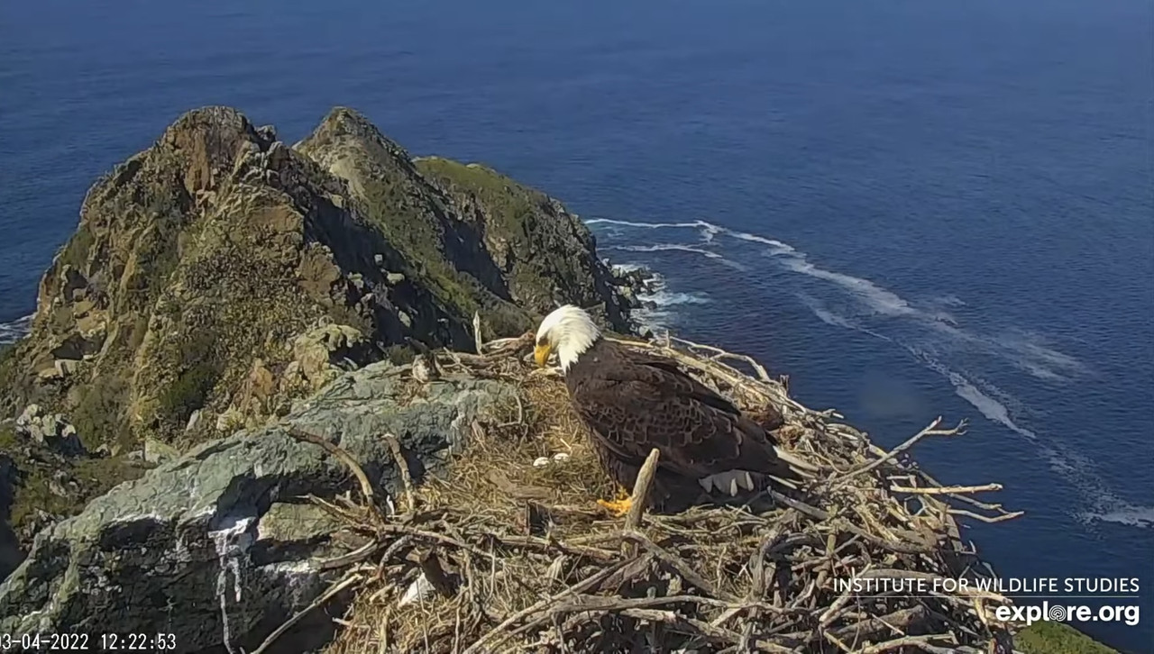 11997ADC-8836-4483-9A43-FE70DA00C76E