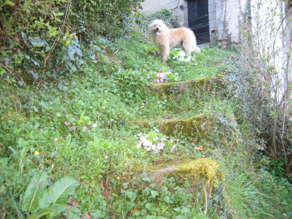 DBAC64A2-3BC9-4E55-8D55-667498357E0B