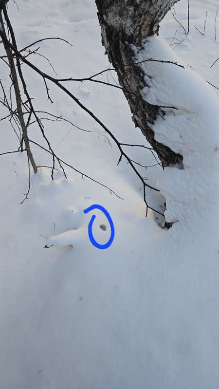 IMG2 25122025 093041