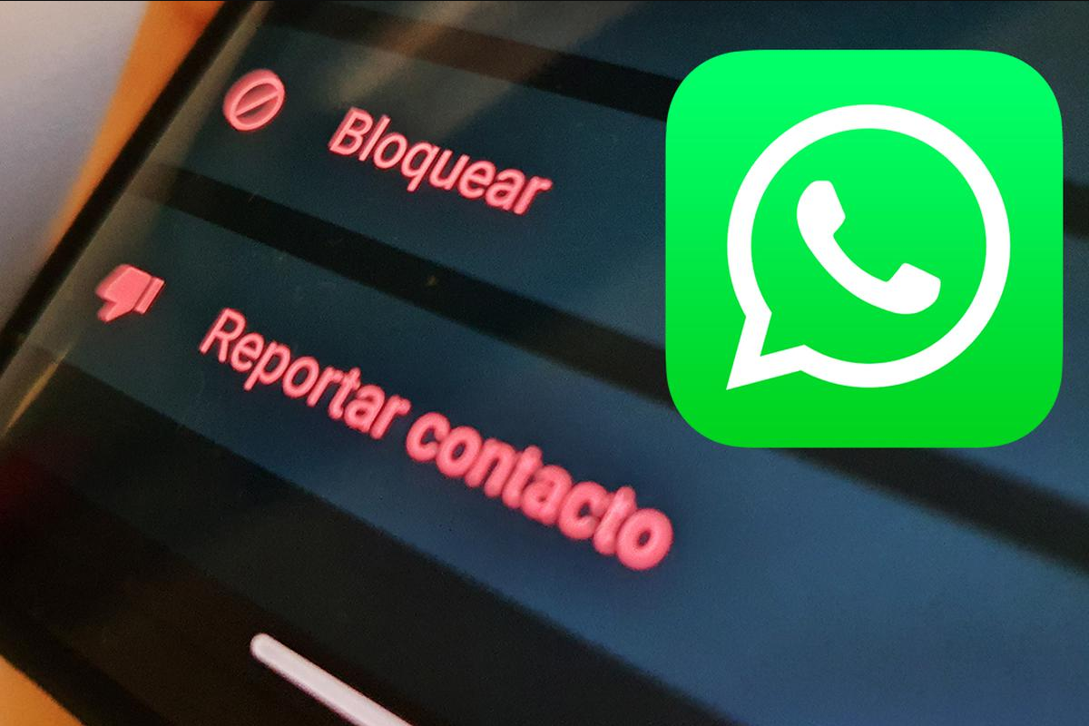 WhatsApp: así podrás reportar estados que inciten a la violencia y odio