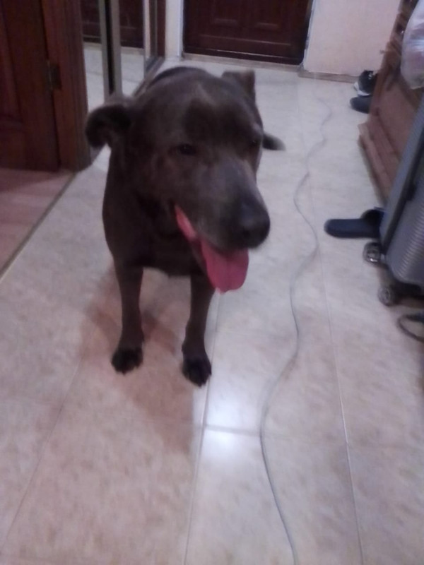 853FFA1F-35F5-49C4-8A2C-7D3C96E881F6