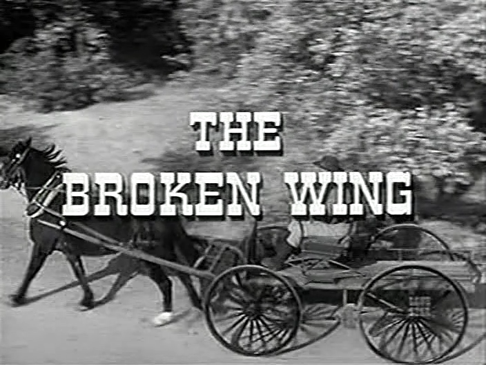 Zane Grey Theatre S05E18-The Broken Wing.mkv_sna