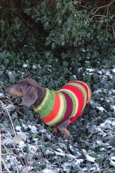 [Image: DSC-0113.jpg]