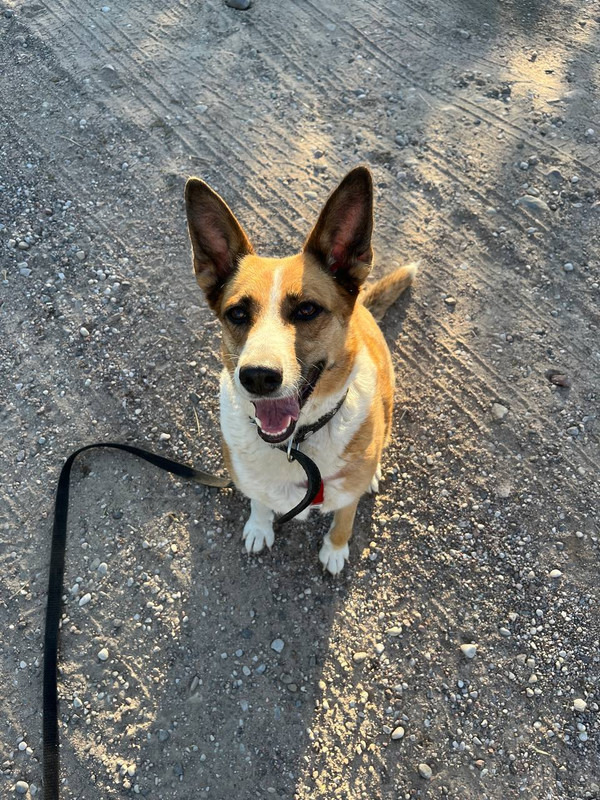 photo_2024-06-26_10-15-55