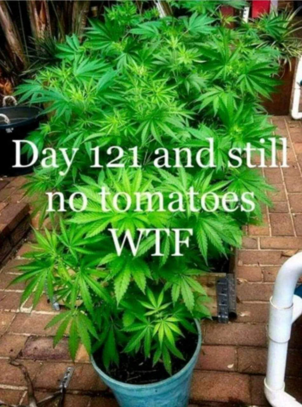 FB_IMG_1614448282591