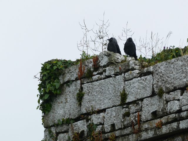 10 días por Irlanda en verano de 2024 - Blogs de Irlanda - DÍA 8 – Abadía Corcomroe – Castillo Dunguaire - Galway (8)
