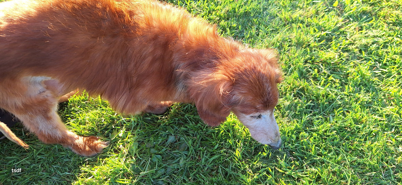 [Image: 20250331-190719.jpg]