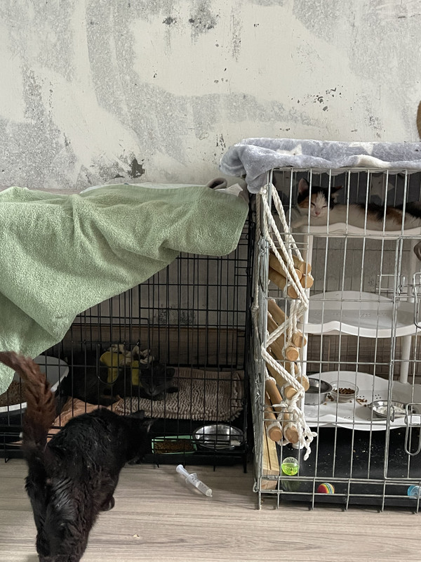 E9DB2076-C7FF-44A9-A70E-44F4B5D2ECD8