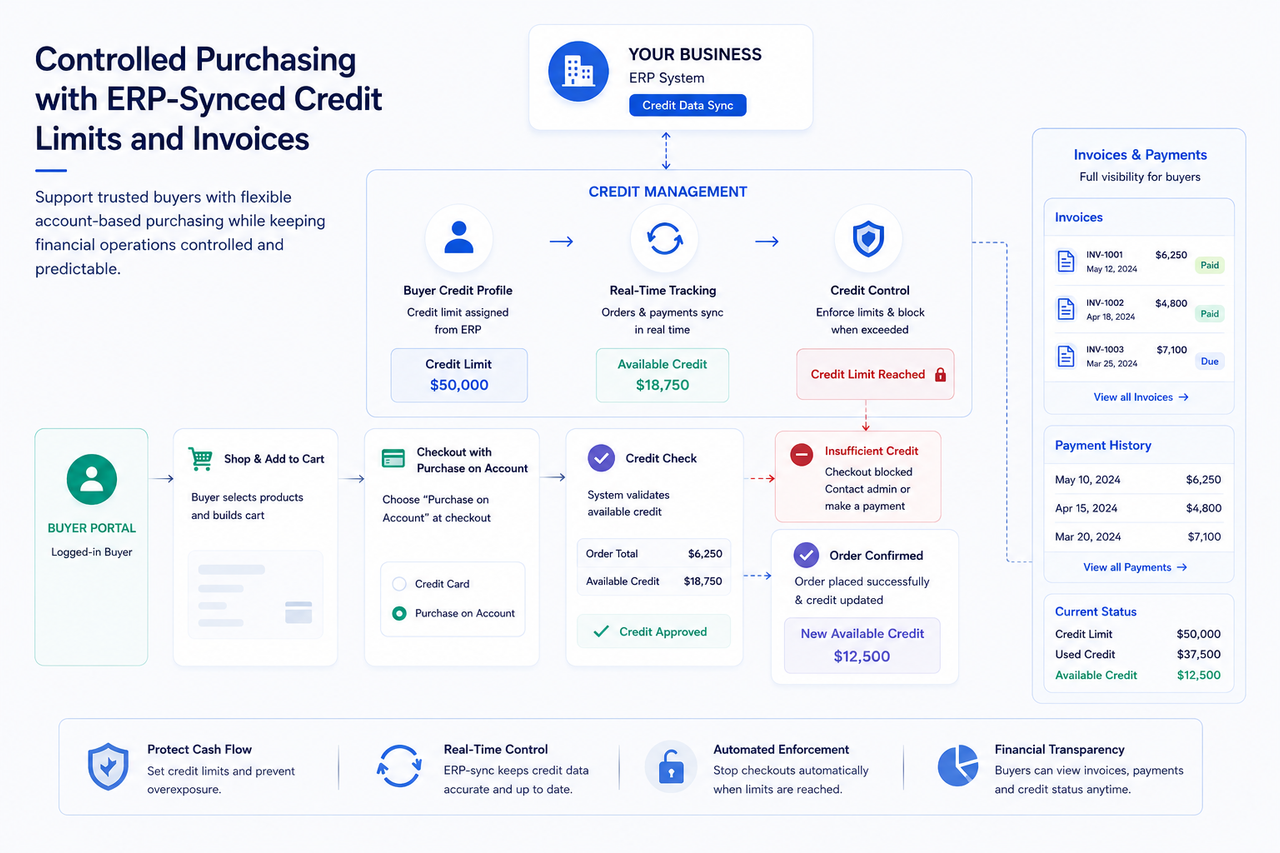Controlled Purchasing with ERP-Synced Credit Limits and Invoices