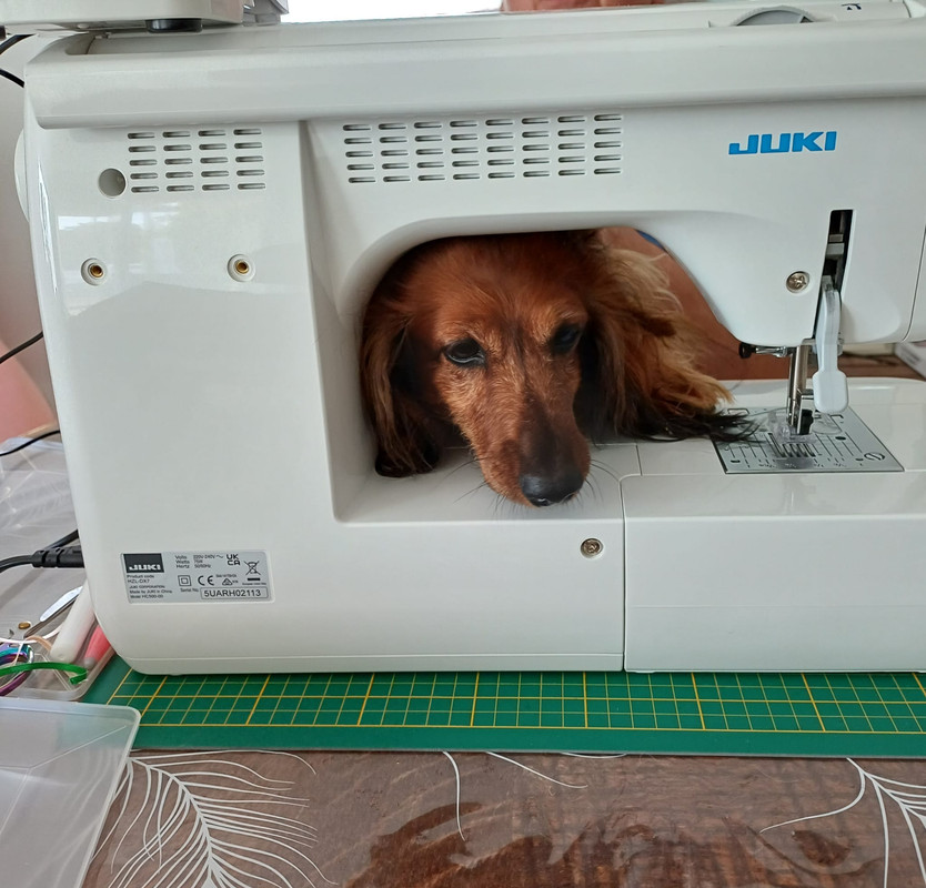 [Image: IMG-20240825-WA0008.jpg]