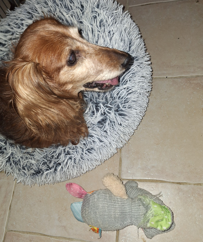 [Image: 20240909-124006.jpg]