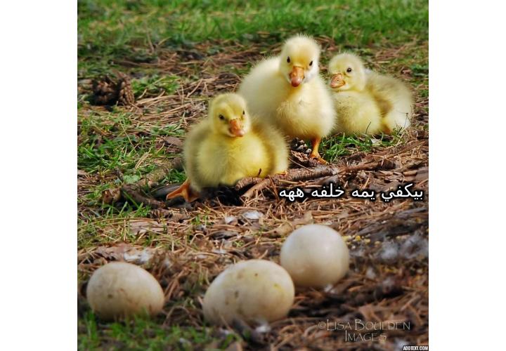 ���� ���� ������ �� ���� ������