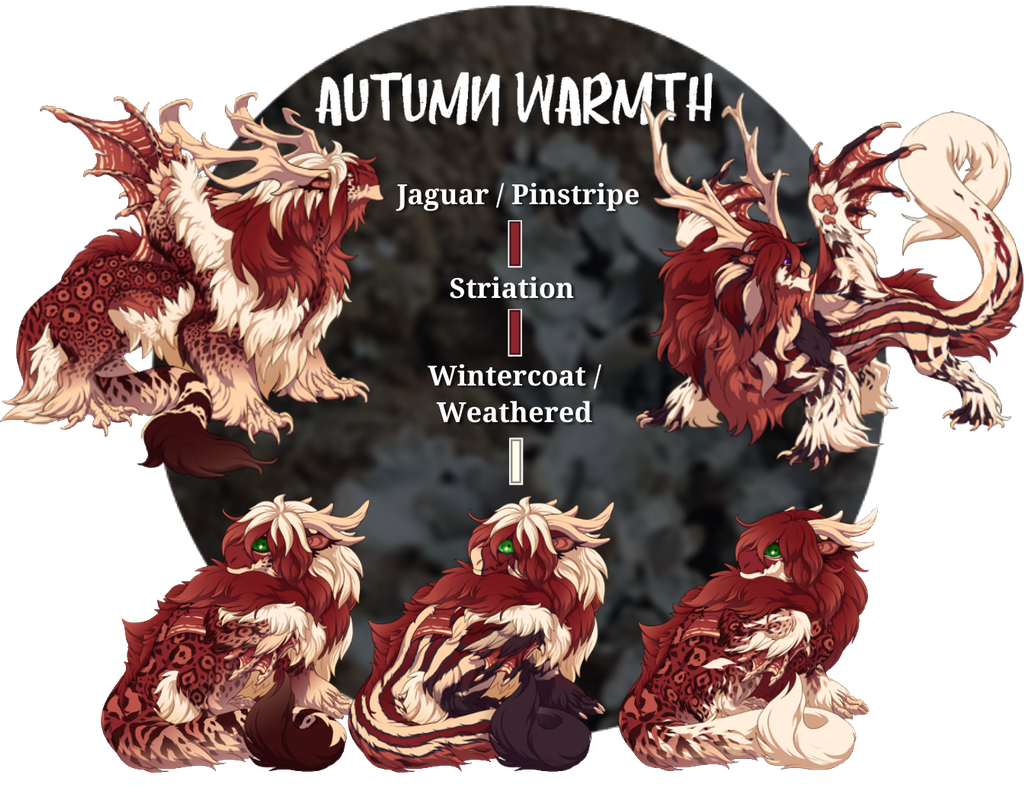 FR-Autumn-Warmth-PNG.png