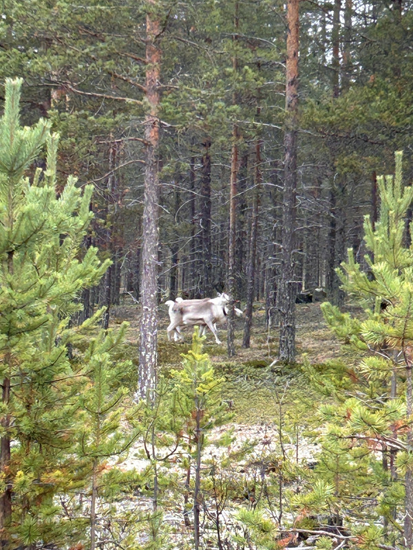 IMG-0038.jpg