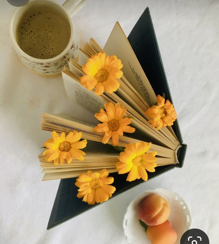 Screenshot_20240406_124348_Pinterest