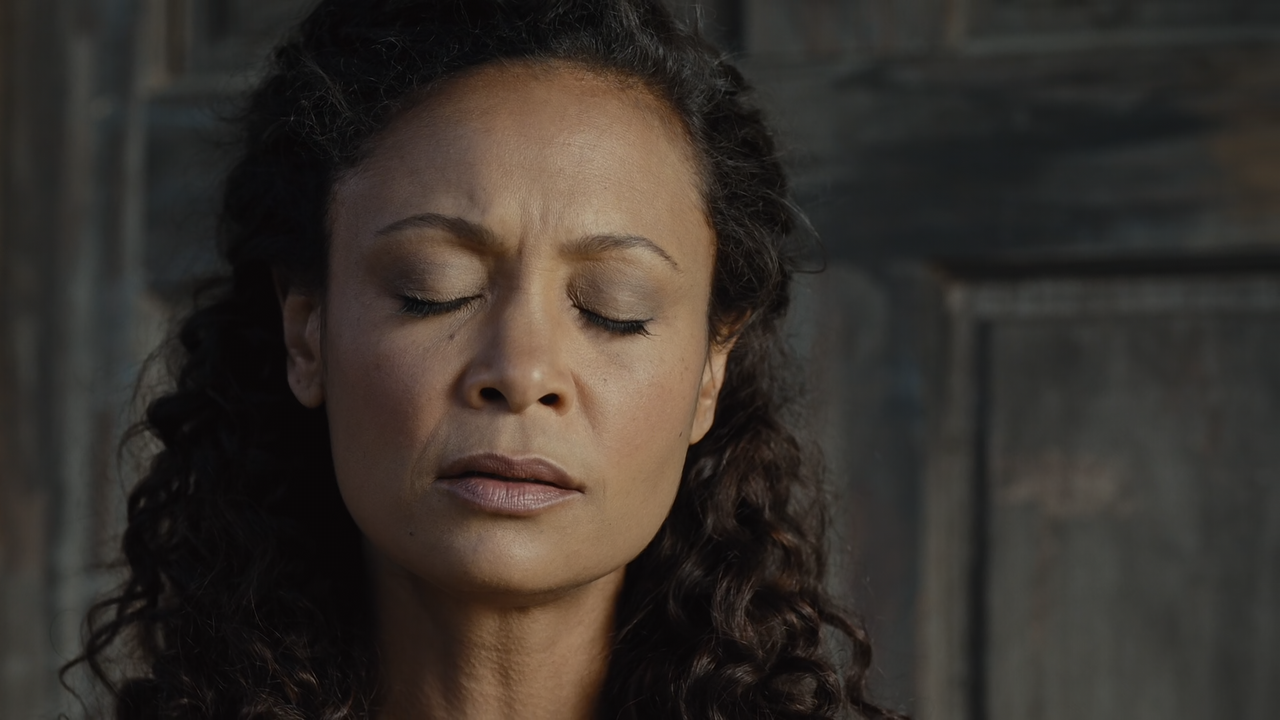 Westworld.S02E07.Les.Écorchés.1080p.10bit.BluRay.AAC7.1.HEVC-Vyn