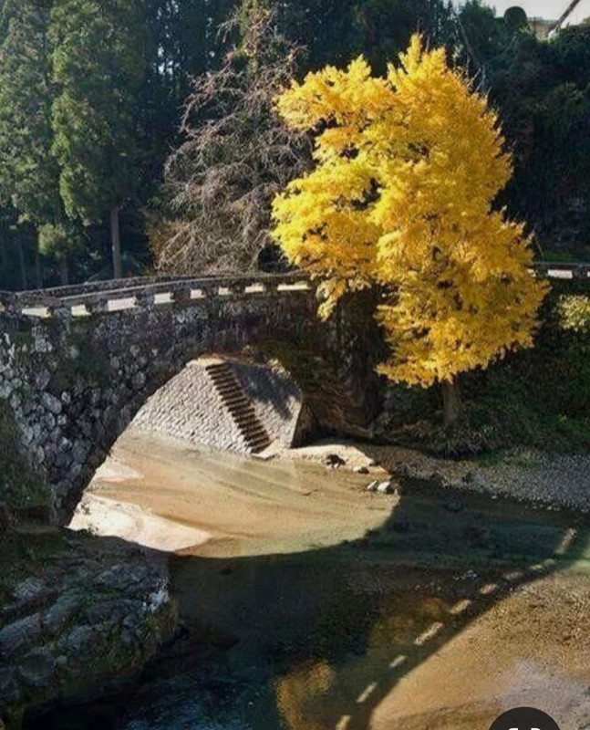 Screenshot_20240212_210029_Pinterest