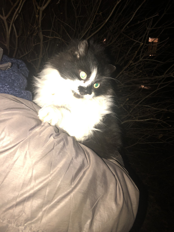 24123F79-B4F0-49CD-97FE-8B4E8795EFB2