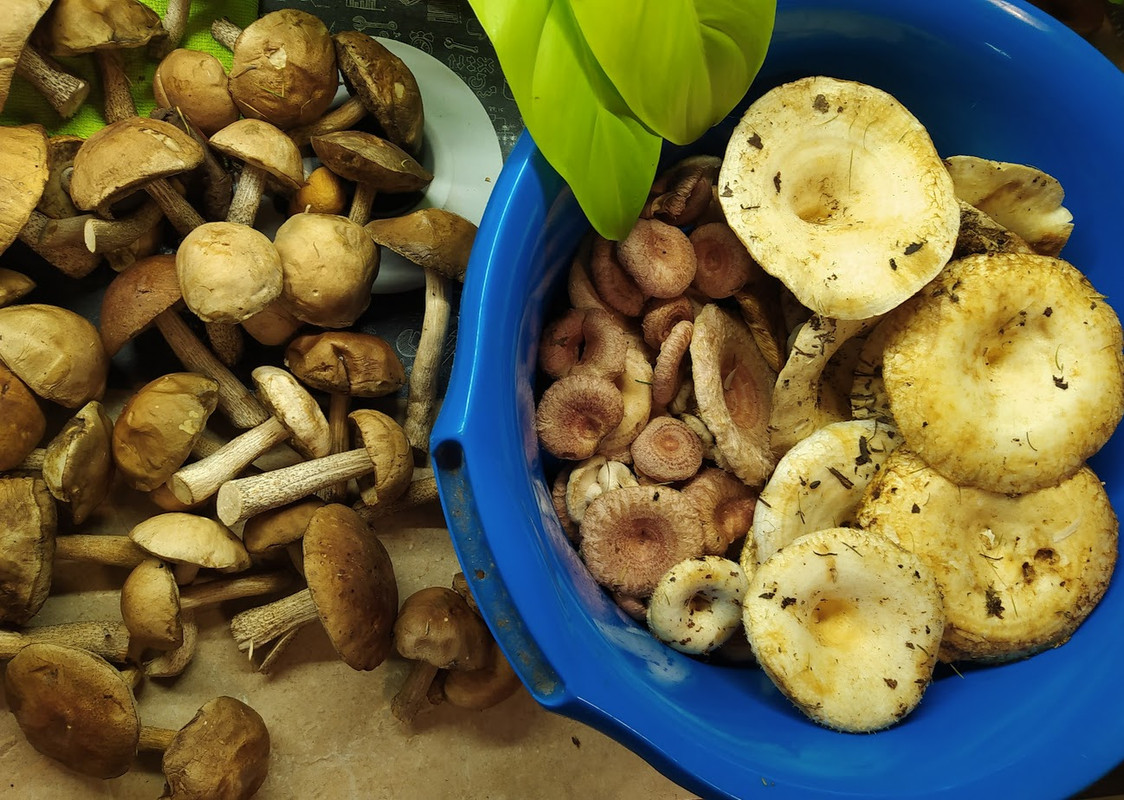 IMG_20230825_214312 (1)