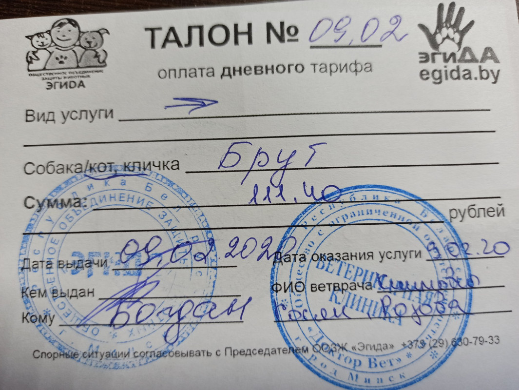 Брут талон1