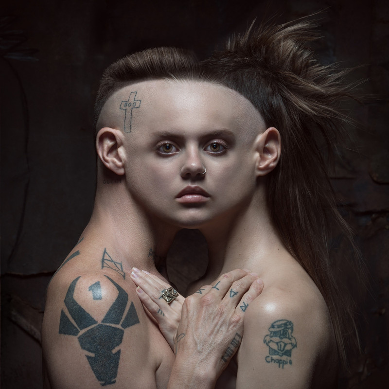 die antwoord download mp3
