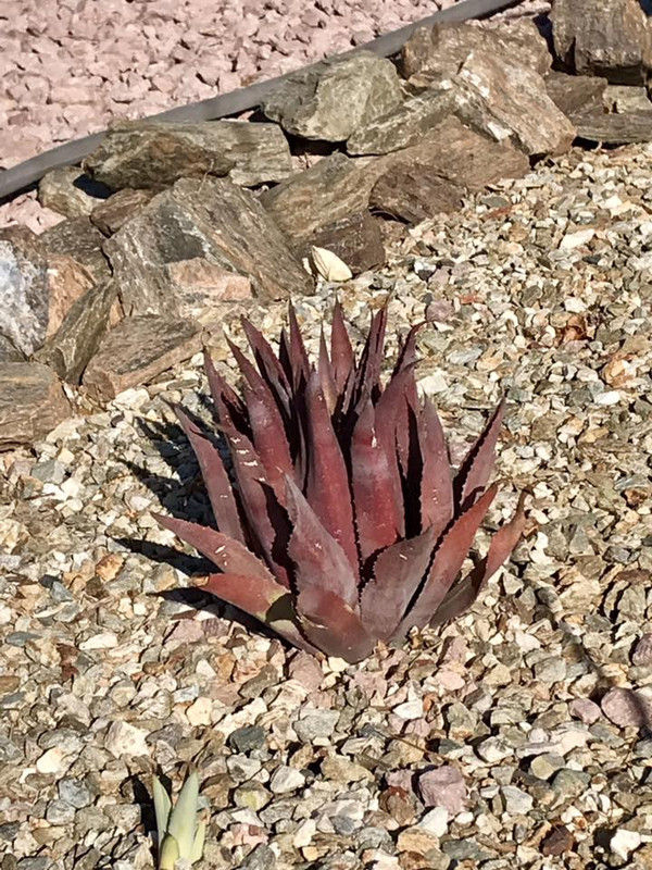 508691974_24307146792244258_1568725317042905384_n