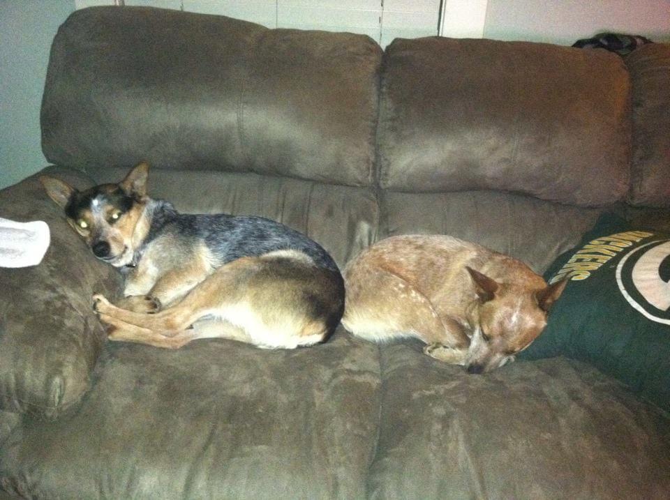 345DE6B8-F176-4F08-A4F0-33F23760104B