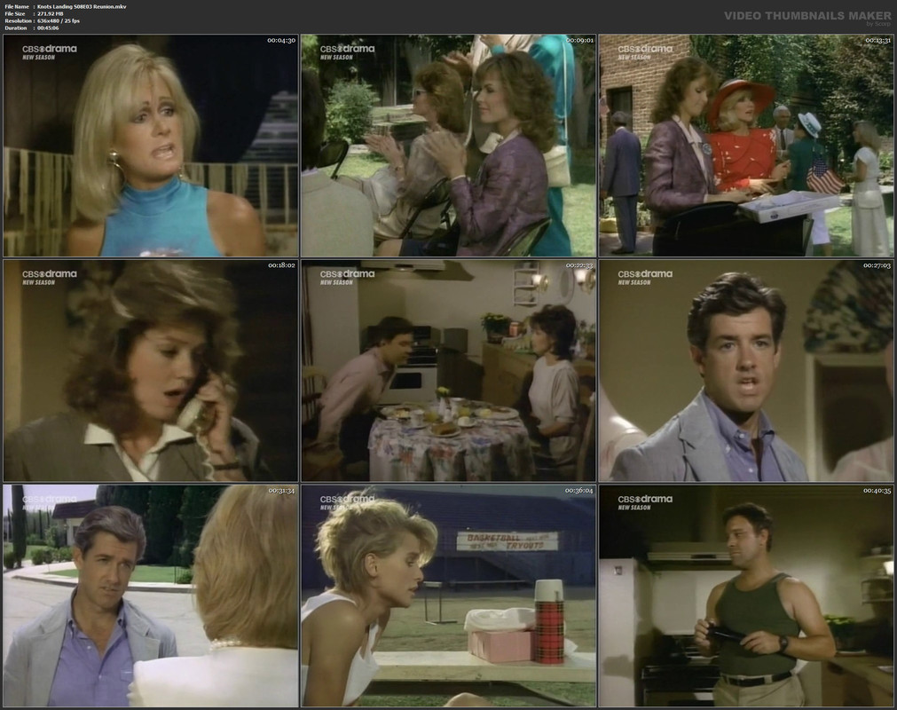 Knots Landing S08E03 Reunion.mkv