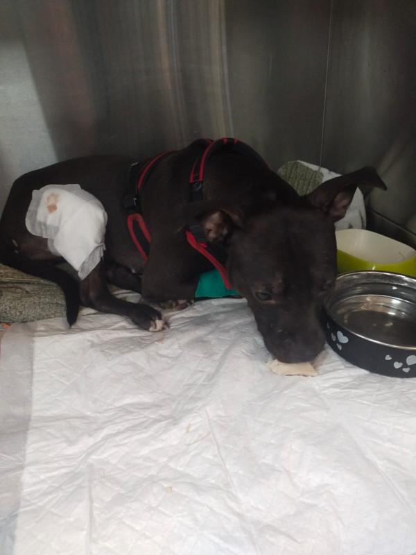 BCEA7480-1909-4493-8FB2-5B97577E9881