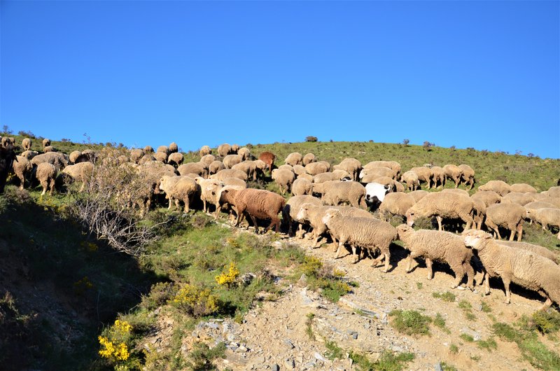 GARRAY Y SANTA CRUZ DE YANGUAS-25-5-2013 - Soria y sus pueblos-2010/2013/2020 (28)