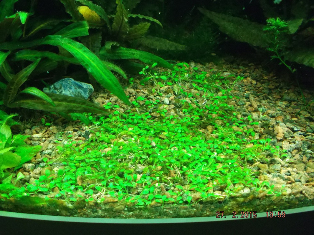 2 месяца — копия