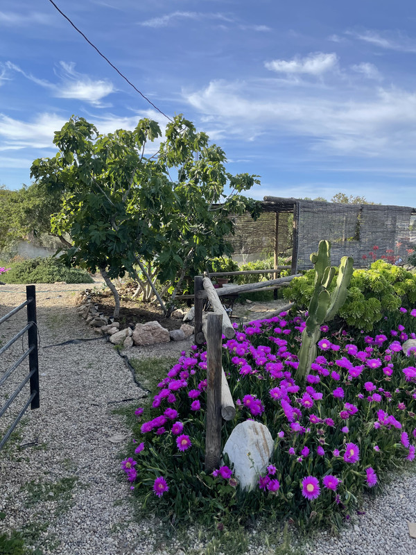 7411E364-9115-4136-893E-044B1C0756FE