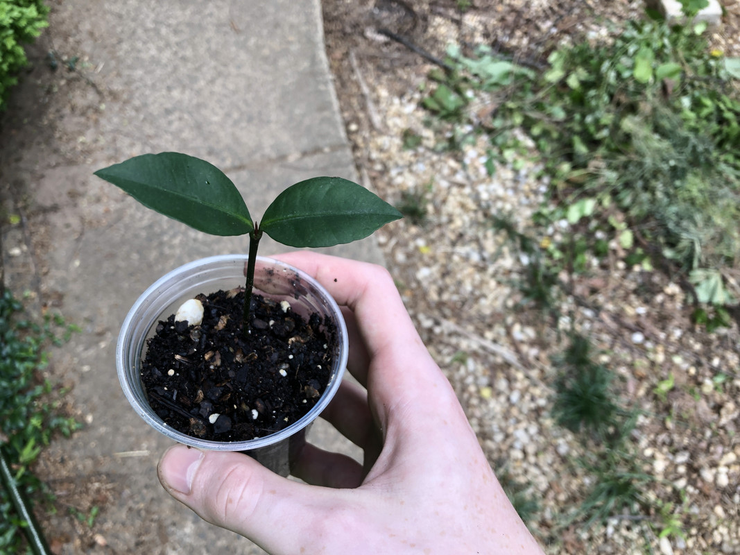 9115C471-135E-4E00-87ED-F08F3369D2B4