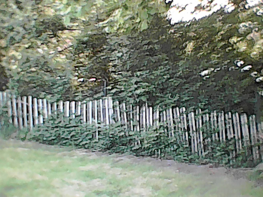 DSC-0000024.jpg