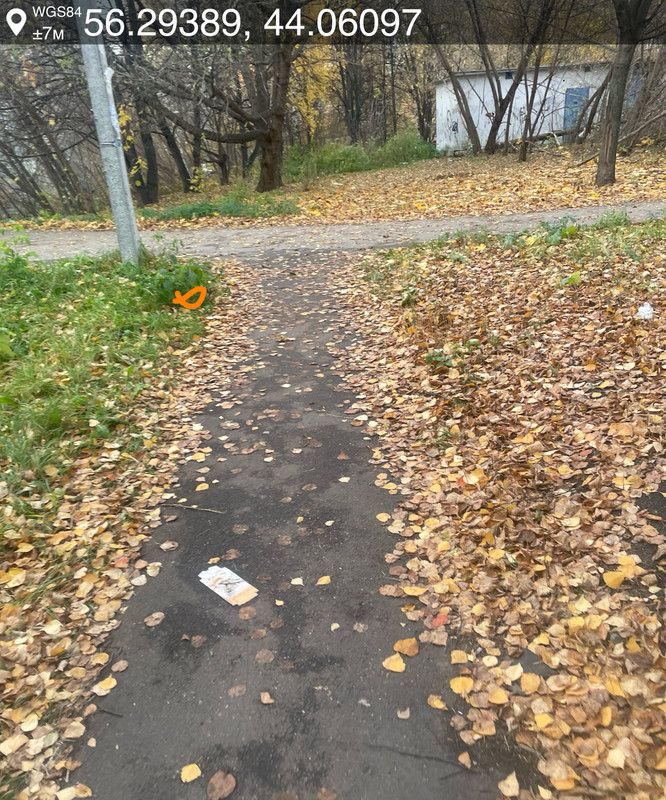 ф