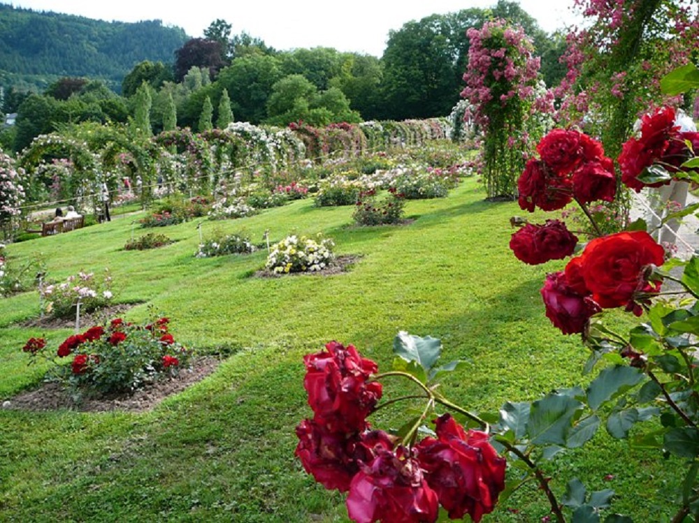 p1500715