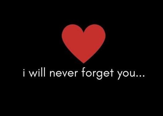 41i1NLV-ae-L-AC-UF1000-1000-QL80-z