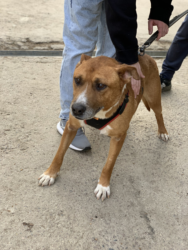 D4DE31C4-C1A9-42A8-B783-986F15277EBC