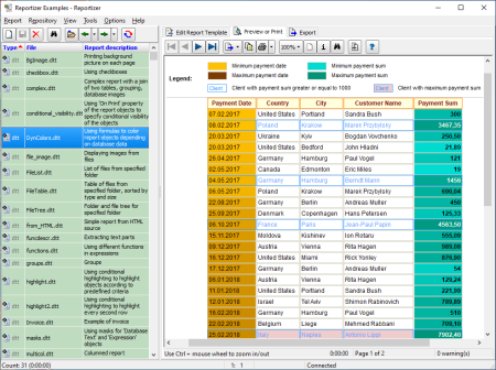 Reportizer 6.4.3.79 Multilingual