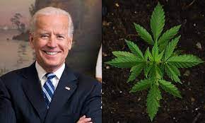 Joe Biden perdonará a todos los condenados por marihuana