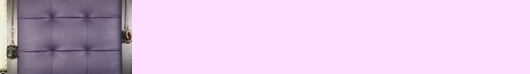 600660066006Trann