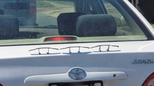 thumbs-picdump742-140.jpg