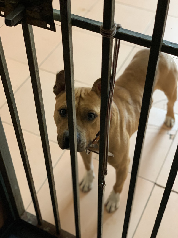 837C4320-E5D4-4755-8D48-00912E750371