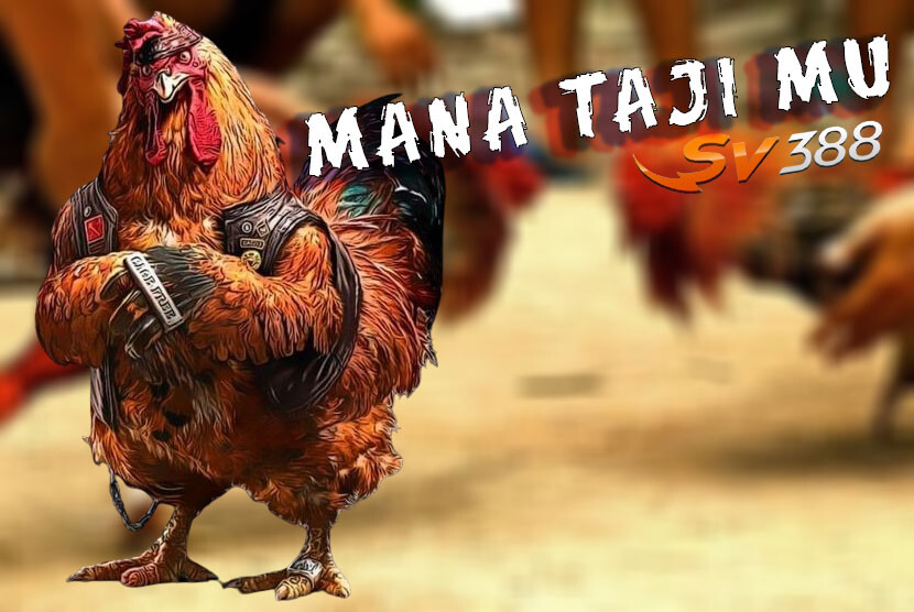 SV388 🐓 Link Daftar Sabung Ayam Online Terbaru Resmi 2024