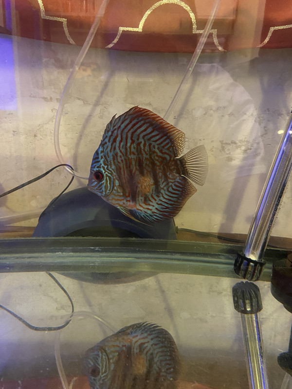 E5439F43-3F2C-45A2-9C91-949D42FDE8AC