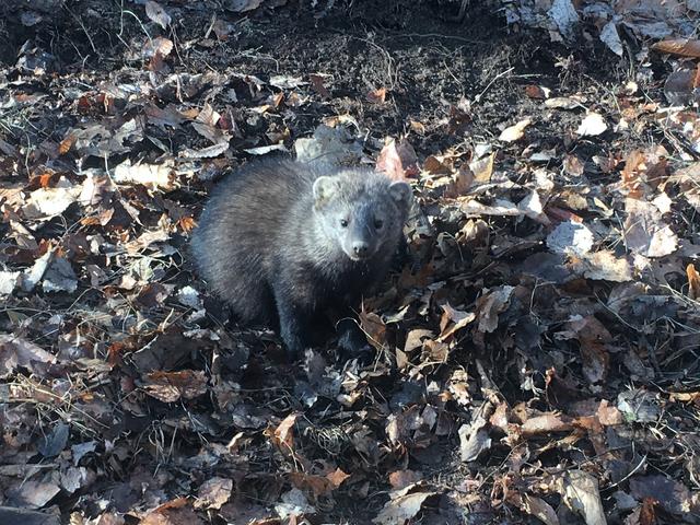 E96561DE-AD02-400D-8F20-14191FF49D58