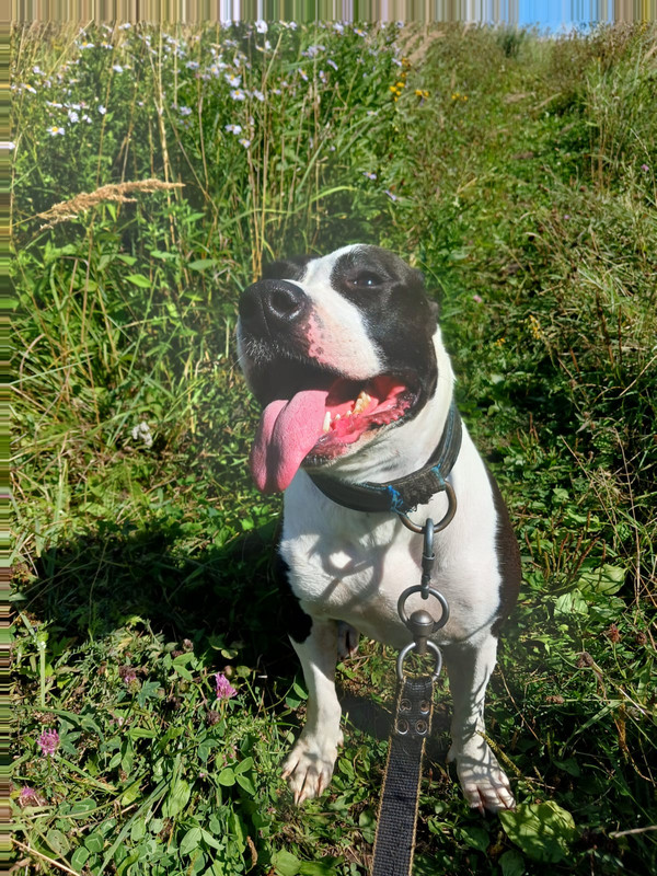 WhatsApp Image 2024-08-15 at 11.02.14 (2)