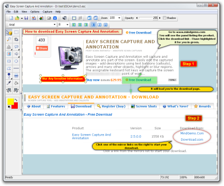 MindGems Easy Screen Capture And Annotation 3.0